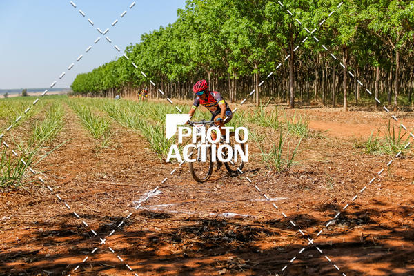 Buy your photos of the eventEtapa Final - ALIGA on Fotop