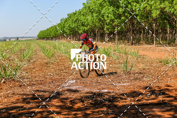 Buy your photos of the eventEtapa Final - ALIGA on Fotop