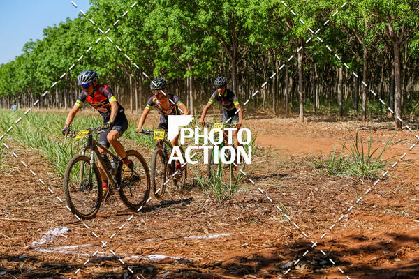 Buy your photos of the eventEtapa Final - ALIGA on Fotop