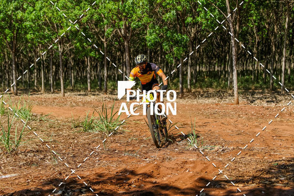 Buy your photos of the eventEtapa Final - ALIGA on Fotop