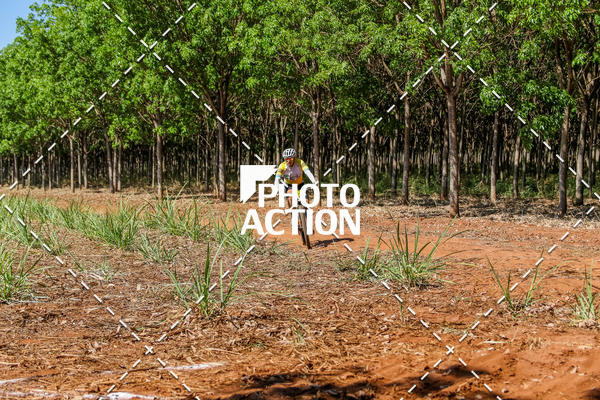 Buy your photos of the eventEtapa Final - ALIGA on Fotop