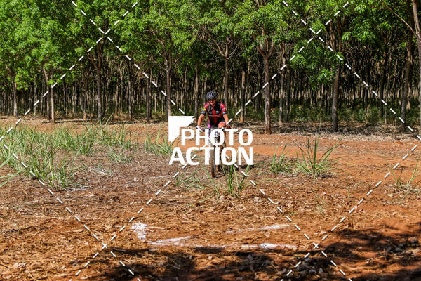 Buy your photos of the eventEtapa Final - ALIGA on Fotop