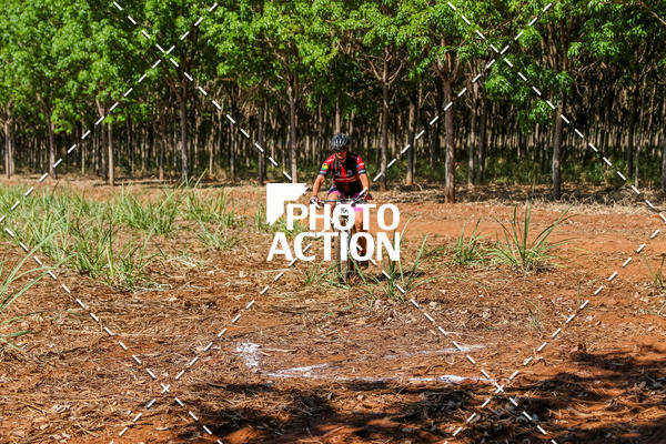 Buy your photos of the eventEtapa Final - ALIGA on Fotop