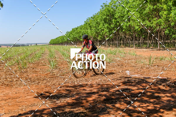 Buy your photos of the eventEtapa Final - ALIGA on Fotop