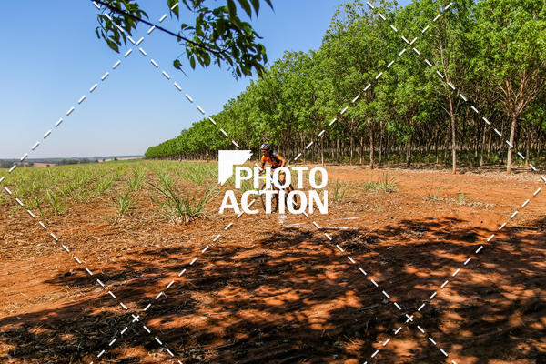 Buy your photos of the eventEtapa Final - ALIGA on Fotop