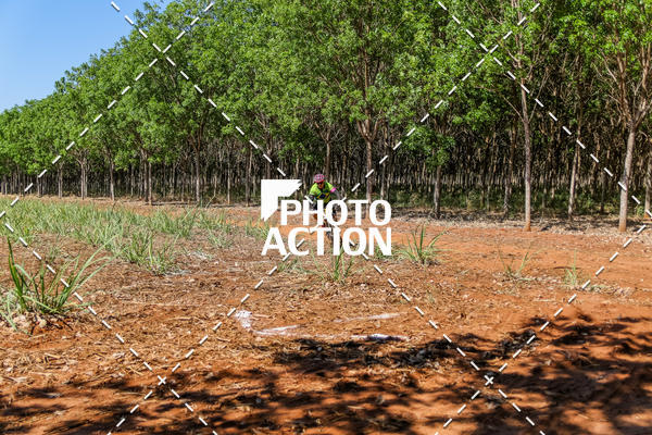 Buy your photos of the eventEtapa Final - ALIGA on Fotop