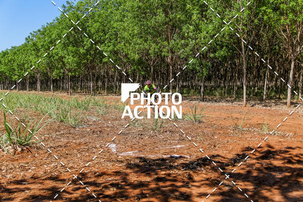 Buy your photos of the eventEtapa Final - ALIGA on Fotop