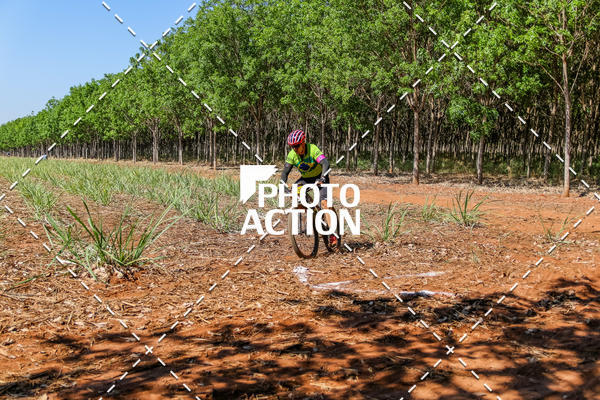 Buy your photos of the eventEtapa Final - ALIGA on Fotop