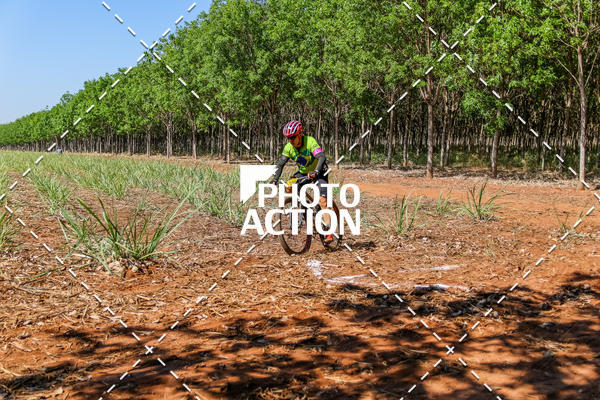 Buy your photos of the eventEtapa Final - ALIGA on Fotop