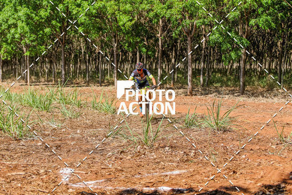 Buy your photos of the eventEtapa Final - ALIGA on Fotop