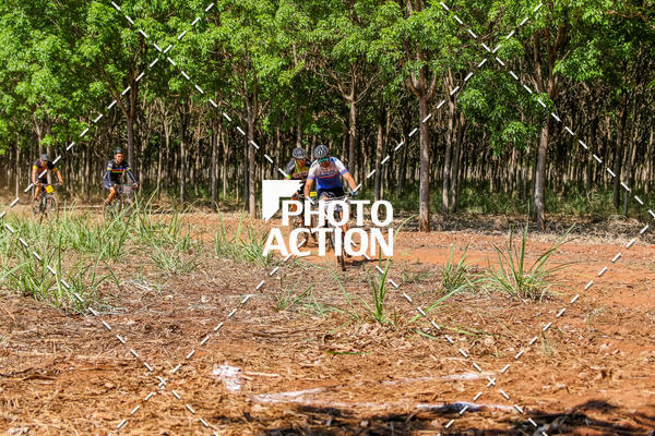 Buy your photos of the eventEtapa Final - ALIGA on Fotop