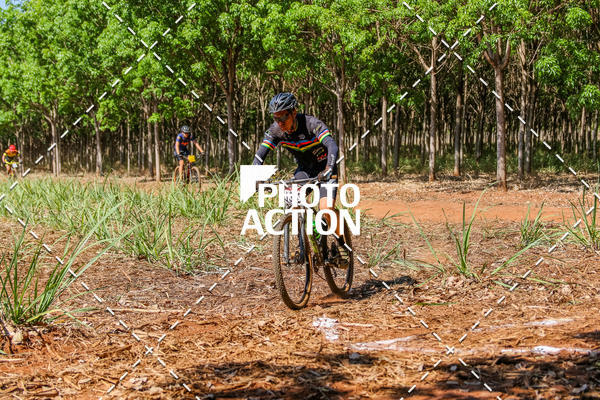 Buy your photos of the eventEtapa Final - ALIGA on Fotop