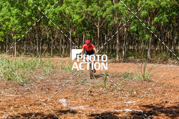 Buy your photos of the eventEtapa Final - ALIGA on Fotop