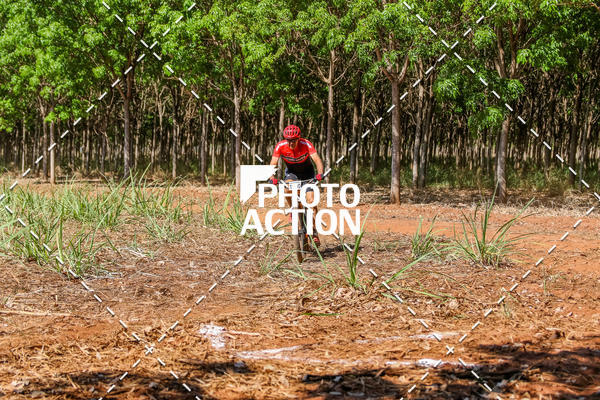 Buy your photos of the eventEtapa Final - ALIGA on Fotop