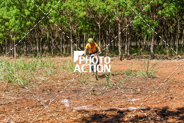 Buy your photos of the eventEtapa Final - ALIGA on Fotop