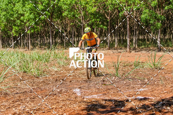 Buy your photos of the eventEtapa Final - ALIGA on Fotop