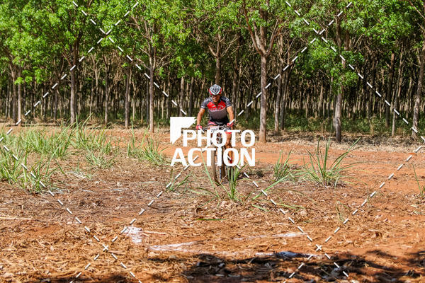 Buy your photos of the eventEtapa Final - ALIGA on Fotop