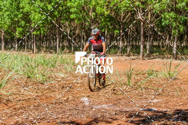 Buy your photos of the eventEtapa Final - ALIGA on Fotop