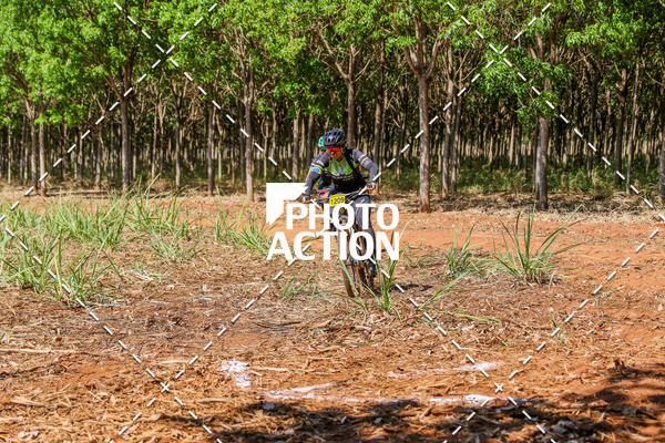 Buy your photos of the eventEtapa Final - ALIGA on Fotop