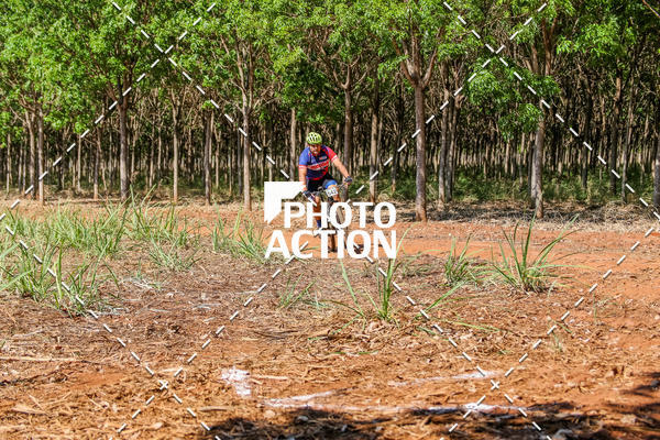 Buy your photos of the eventEtapa Final - ALIGA on Fotop