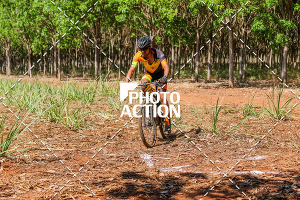 Buy your photos of the eventEtapa Final - ALIGA on Fotop