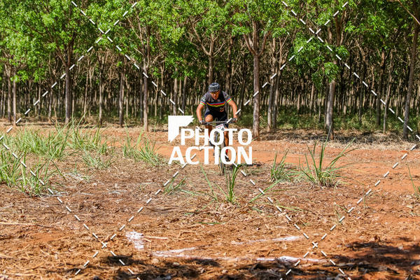 Buy your photos of the eventEtapa Final - ALIGA on Fotop