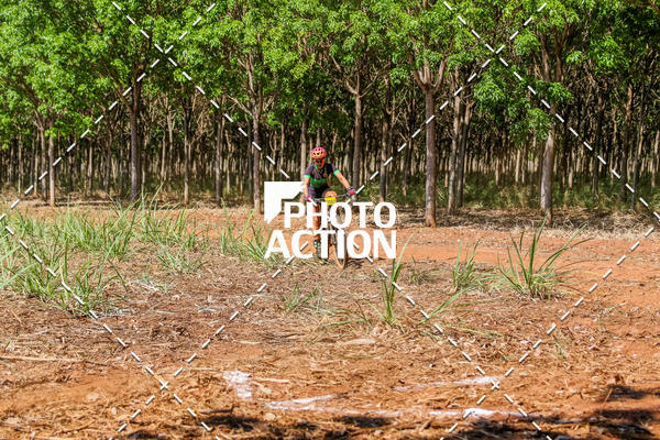 Buy your photos of the eventEtapa Final - ALIGA on Fotop