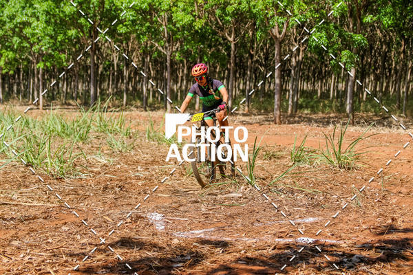 Buy your photos of the eventEtapa Final - ALIGA on Fotop