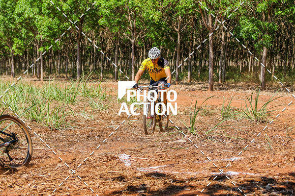 Buy your photos of the eventEtapa Final - ALIGA on Fotop