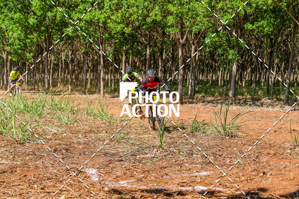 Buy your photos of the eventEtapa Final - ALIGA on Fotop