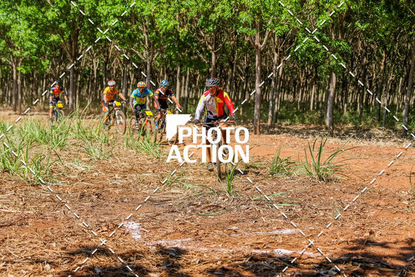 Buy your photos of the eventEtapa Final - ALIGA on Fotop