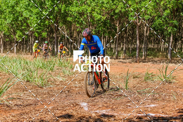 Buy your photos of the eventEtapa Final - ALIGA on Fotop