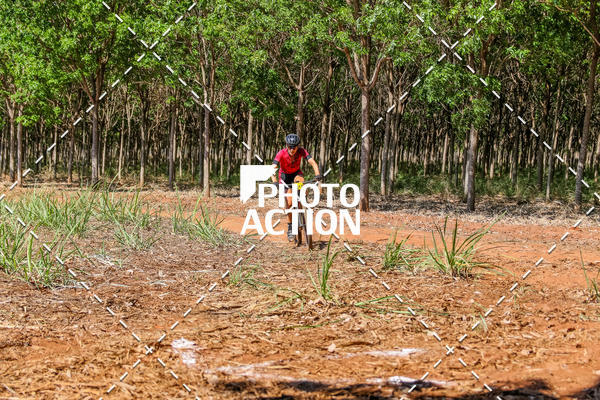 Buy your photos of the eventEtapa Final - ALIGA on Fotop