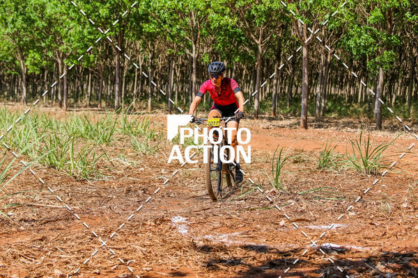 Buy your photos of the eventEtapa Final - ALIGA on Fotop