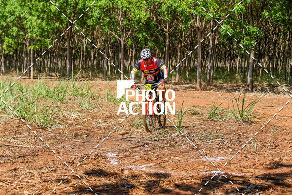 Buy your photos of the eventEtapa Final - ALIGA on Fotop