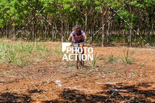 Buy your photos of the eventEtapa Final - ALIGA on Fotop