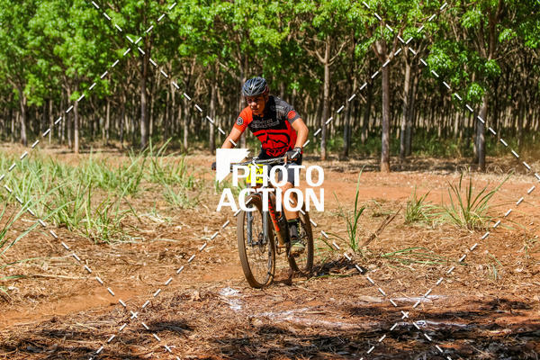 Buy your photos of the eventEtapa Final - ALIGA on Fotop