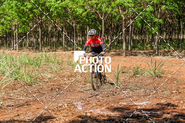 Buy your photos of the eventEtapa Final - ALIGA on Fotop