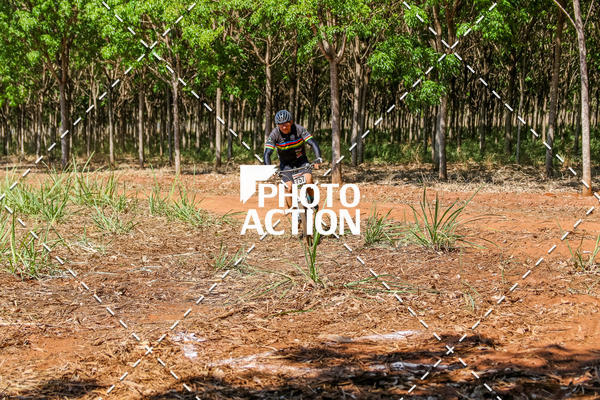 Buy your photos of the eventEtapa Final - ALIGA on Fotop