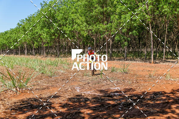 Buy your photos of the eventEtapa Final - ALIGA on Fotop