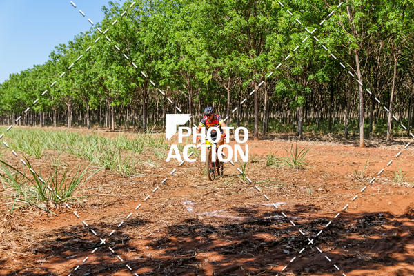 Buy your photos of the eventEtapa Final - ALIGA on Fotop