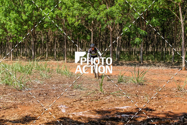 Buy your photos of the eventEtapa Final - ALIGA on Fotop