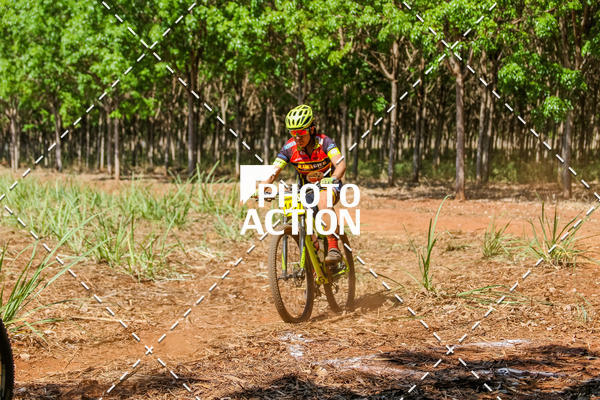 Buy your photos of the eventEtapa Final - ALIGA on Fotop