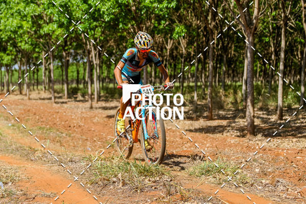 Buy your photos of the eventEtapa Final - ALIGA on Fotop