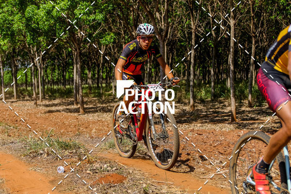 Buy your photos of the eventEtapa Final - ALIGA on Fotop