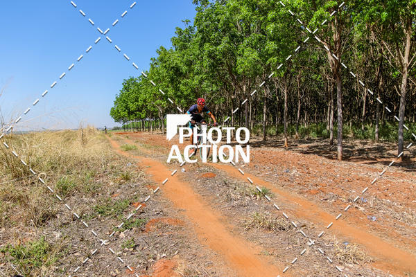 Buy your photos of the eventEtapa Final - ALIGA on Fotop