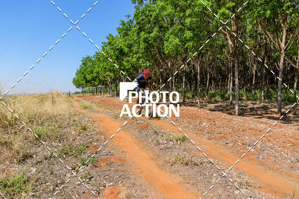 Buy your photos of the eventEtapa Final - ALIGA on Fotop