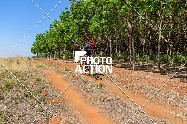 Buy your photos of the eventEtapa Final - ALIGA on Fotop