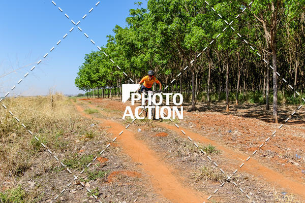 Buy your photos of the eventEtapa Final - ALIGA on Fotop