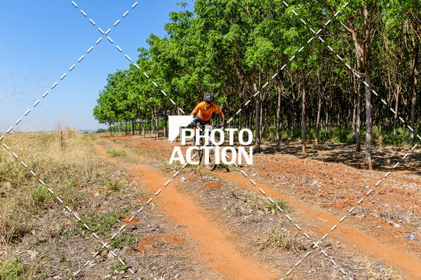 Buy your photos of the eventEtapa Final - ALIGA on Fotop